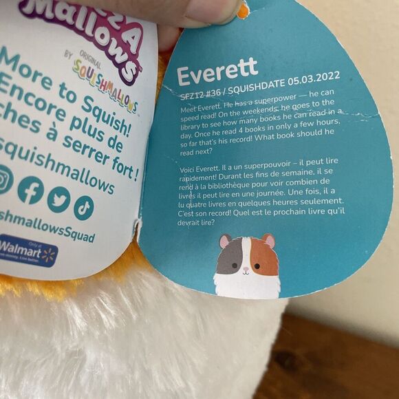 Squishmallow 12" Everett Guinea Pig Fuzz A Mallow Tri-Color Pet Plush Cat Calico - Picture 4 of 9